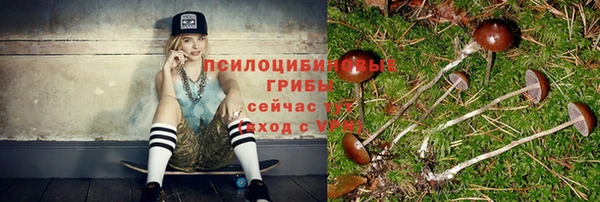 героин Бородино