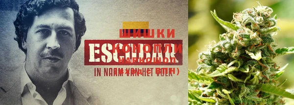 каннабис Бронницы