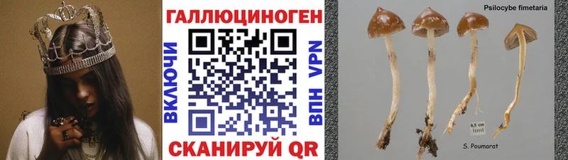 Псилоцибиновые грибы мухоморы Новый Оскол